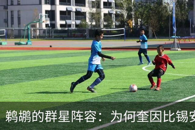 鹈鹕的群星阵容：为何奎因比锡安更受青睐？